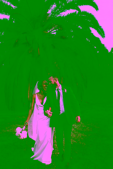 Photo d'un couple à leur mariage